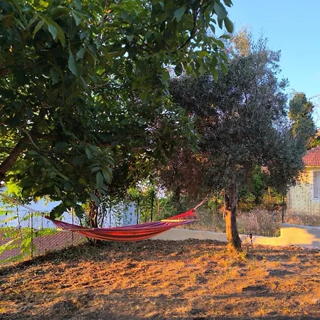 Sofias House At Agkona Kefalonia Angon